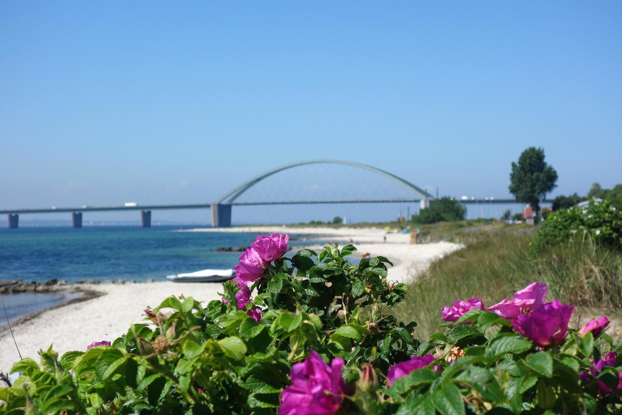 Appartamento Mina Fehmarn Esterno foto