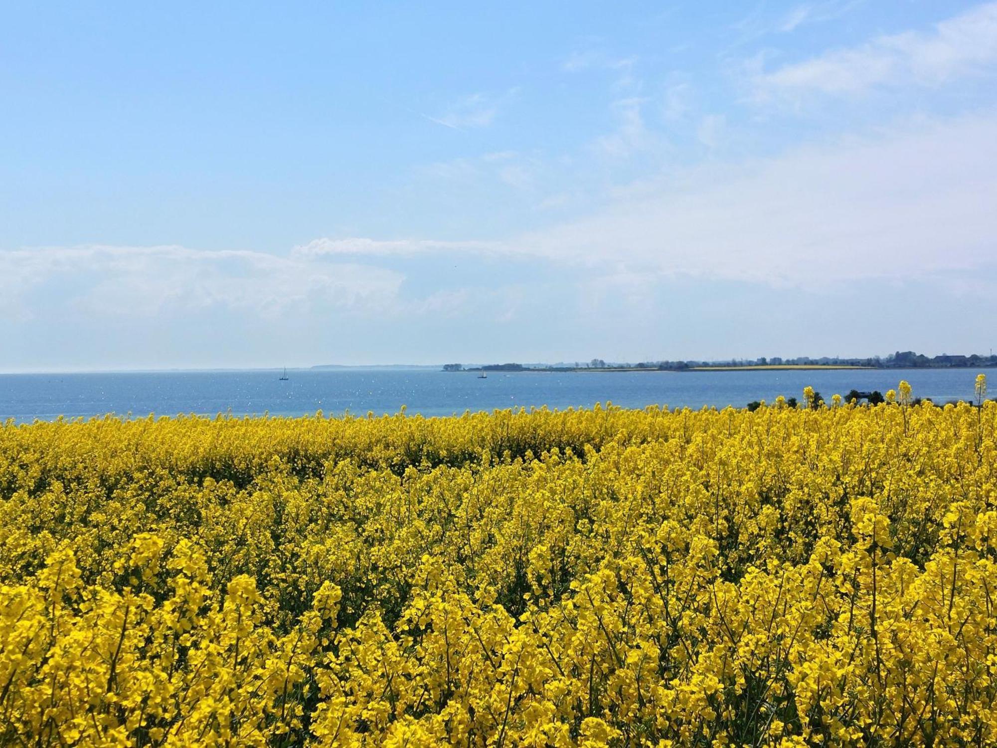 Appartamento Mina Fehmarn Esterno foto